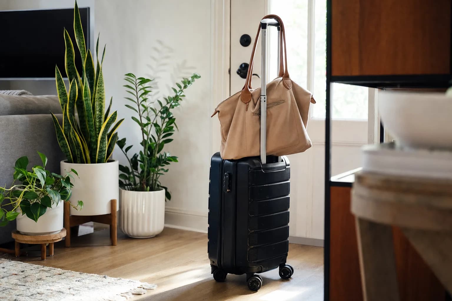 Plant Care for Frequent Travelers | LeafyPod