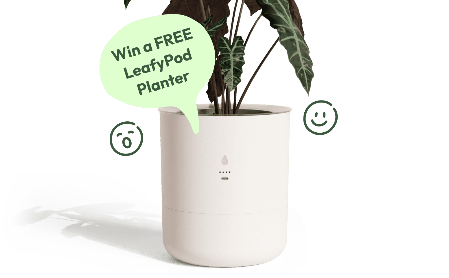 Win a FREE LeafyPod Planter