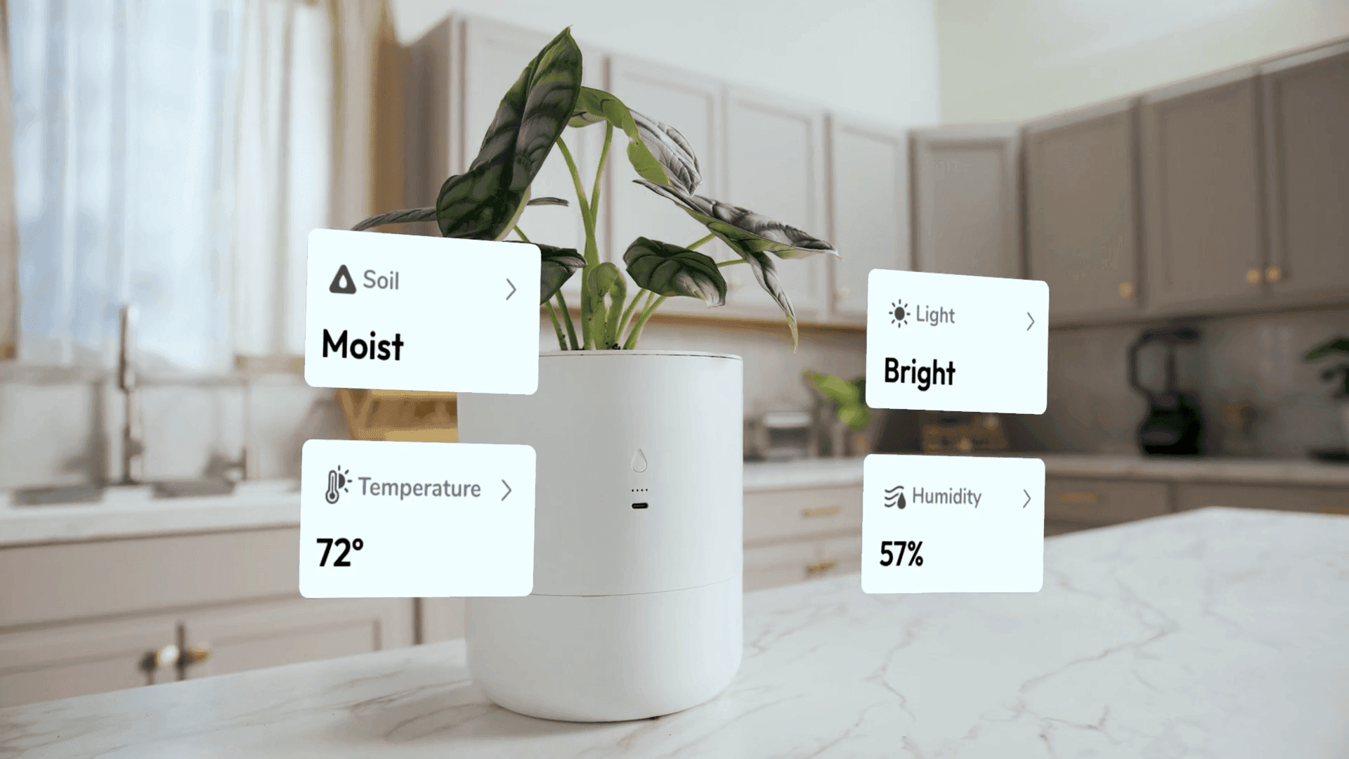 LeafyPod planter video thumbnail